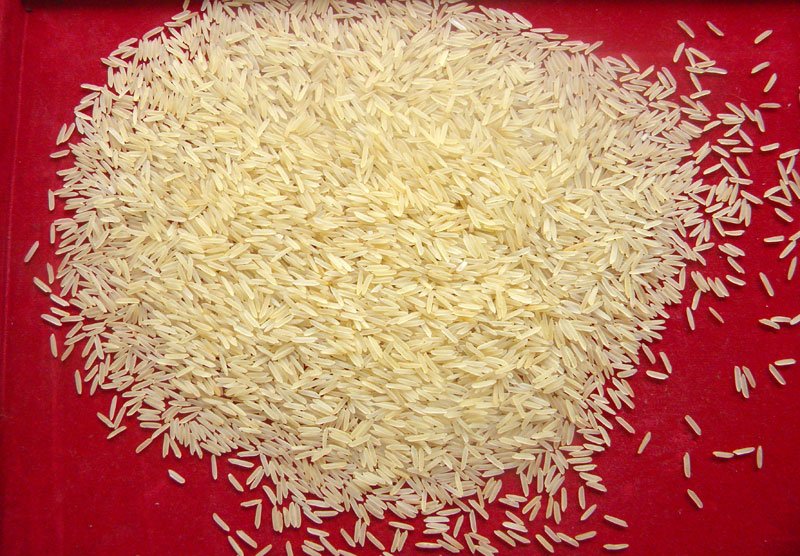 1509 Basmati