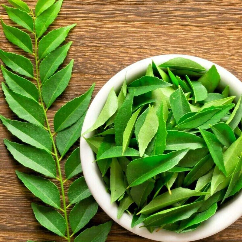 Curry Leaf